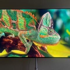 テレビ　ハイセンス  65e6g 65v