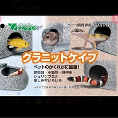 新品★グラニットケイブE★ペット隠れ家の画像