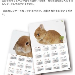 うさぎのしっぽ　2025年　A1サイズカレンダー　　