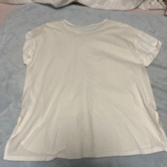 クリーム色 レース模様 Tシャツ 半袖の画像