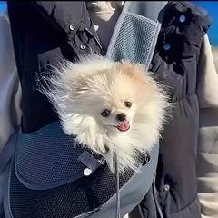 ペット用キャリーバッグの画像