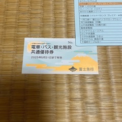 さがみ湖プレジャーフォレスト（さがみ湖イルミリオン）