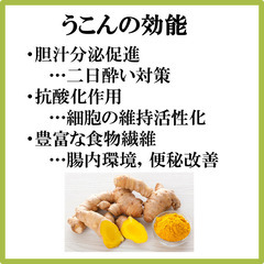 【送料無料】 サプリメント ウコン しじみエキス配合  1粒/1日×10日分の画像