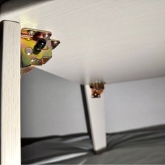 ローテーブル　ホワイト木目　ニトリの画像