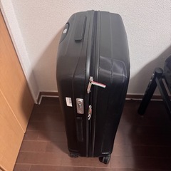 RONCATO キャリーケースの画像