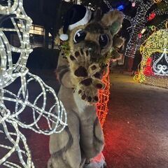 着ぐるみ仲間募集！