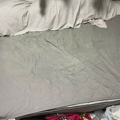 マットレスダブル　取りにこられる方募集