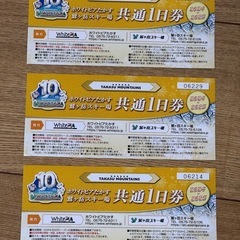 鷲ヶ岳　ホワイトピアたかす　ワシトピア　共通一日券　3枚の画像