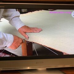 Panasonic 液晶テレビ TH-32LX600