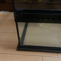 爬虫類ケージ　90 エキゾテラの画像