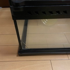 爬虫類ケージ　90 エキゾテラの画像