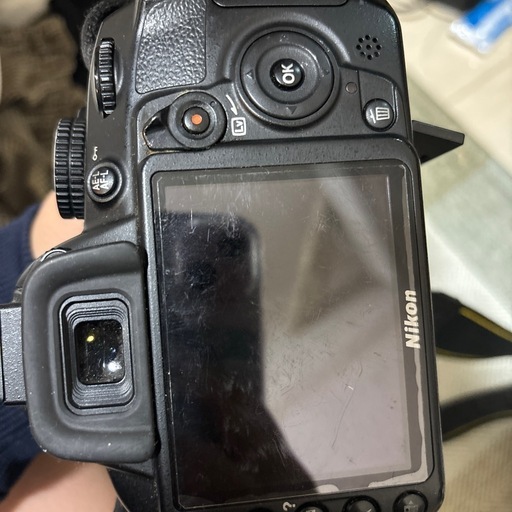 NICON d3100