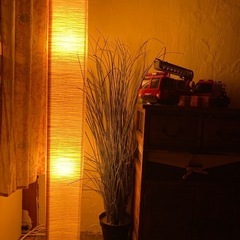 間接照明 ・フロアライトの画像