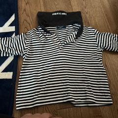コムサの画像