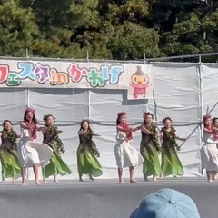 フラダンス　メンバー募集 - スポーツ