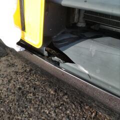 スズキラパン(決まりました)の画像