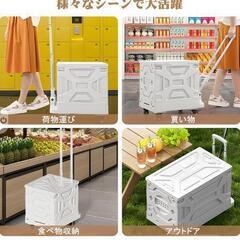 新品未使用キャリーカート

の画像