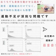 【体幹を鍛えるオモチャ】バランスボードの画像