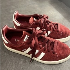 adidas originals campus