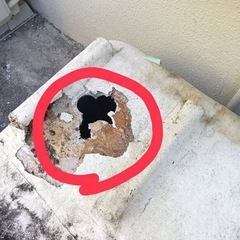 ジャンク💔古いバスタブの画像