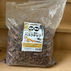 昆虫チップ