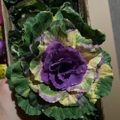造花まとめ売りの画像