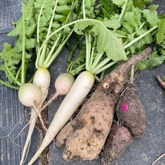 有機栽培！無農薬野菜！の画像