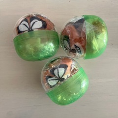 ぼのぼのガシャポン（アライグマくん）の画像