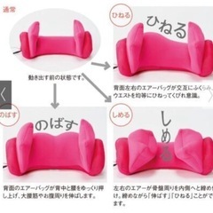 【お値下げ】寝るだけでシェイプアップ☆フィットネス機器 エアプリエ スイートプレミアムの画像