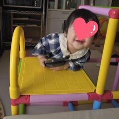 すべり台つき折りたたみジャングルジムの画像