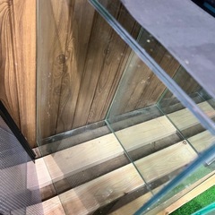 60センチのオールガラス水槽の画像