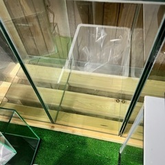 60センチのオールガラス水槽の画像