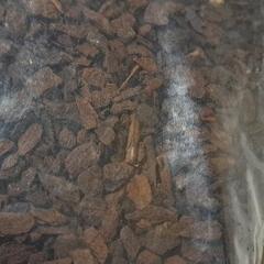 発酵熟成　パインバーク　10L　爬虫類　床材　２袋の画像