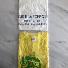 新品Tシャツ2点