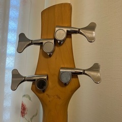 アイバニーズ SDGR ベースの画像