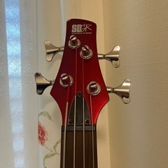 アイバニーズ SDGR ベースの画像