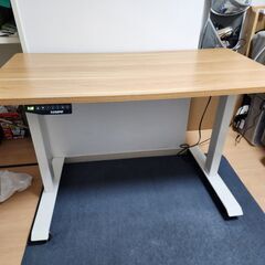 FLEXISPOT 電動式デスクE1セット (120×60cm)