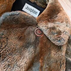 毛皮ジョセフィーヌの画像