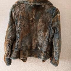 毛皮ジョセフィーヌの画像