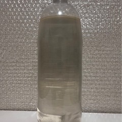 ゾウリムシ　1ℓペットボトル②