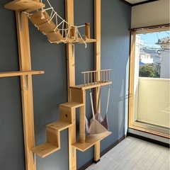 キャットウォーク付き物件！😺ペットと住めるアパートのご紹介！最寄...