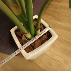 ⑥フェイクグリーン　観葉植物の画像