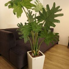 ⑥フェイクグリーン　観葉植物の画像