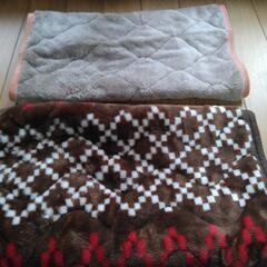 枕パット2点セット