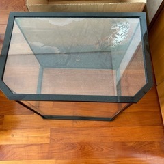 五月人形のガラスケースの画像