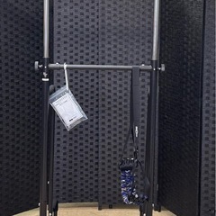 懸垂マシン（アルインコ/EX900T/高さ調整可）の画像