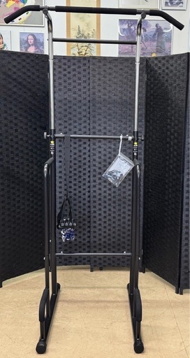 懸垂マシン（アルインコ/EX900T/高さ調整可）