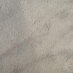 🚨値下げ🚨触り心地ほぼうさぎ🐰ふわふわラグの画像