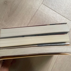 秘密　あの頃の誰か　八日目の蝉小説本セットの画像