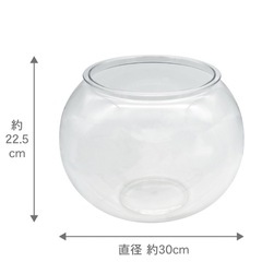猫　金魚鉢　未使用、新品　箱なしの画像
